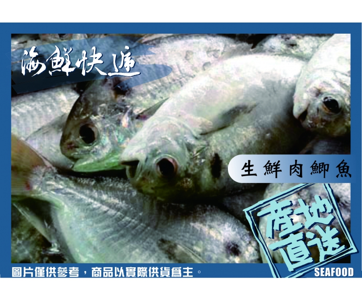 澎湖肉鯽魚