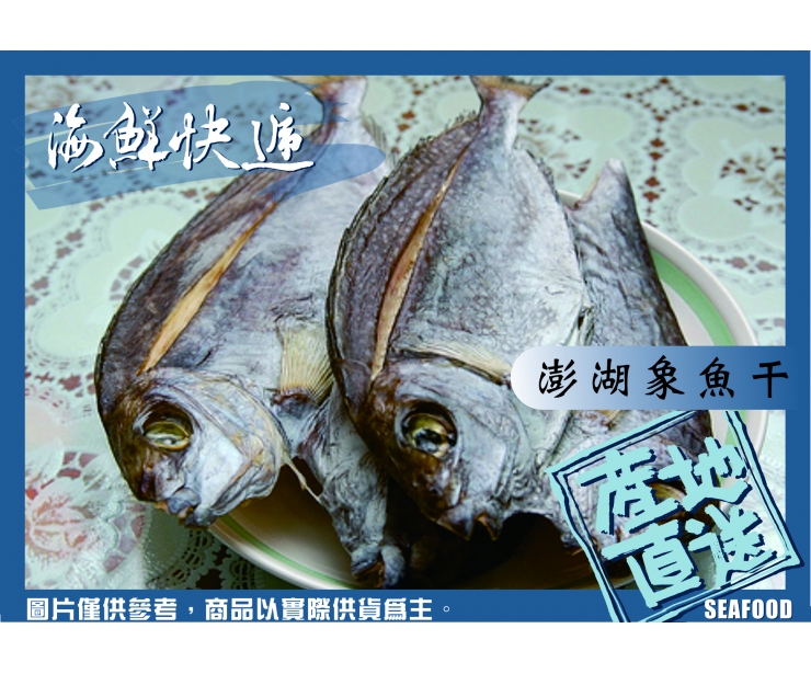 澎湖象(魚)耳干